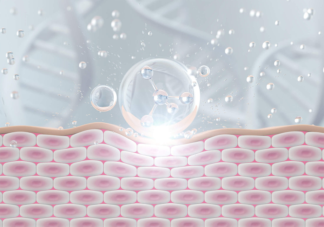 Kolagen: Tajna mladosti u vlaknastom proteinu